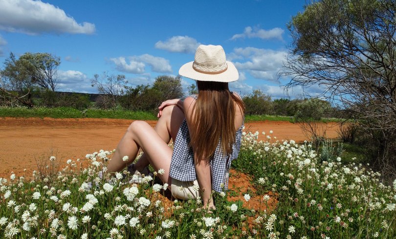 The wildflowers are coming, in Australia's Coral Coast.