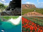 From colourful flower fields and wine regions to remote outback adventures and whale watching, these are the destinations worth putting on your spring travel list.