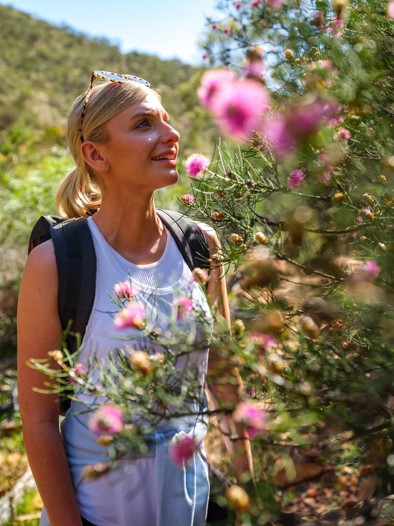 Kalbarri wildflowers