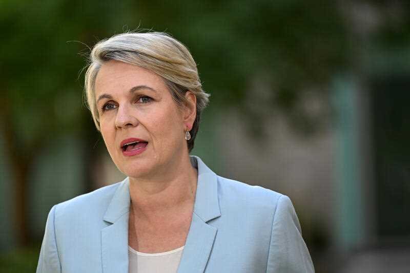 Environment Minister Tanya Plibersek.
