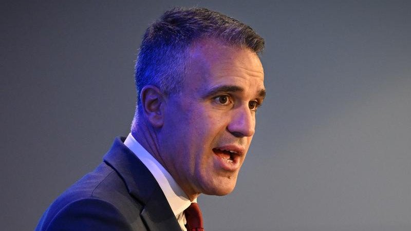 South Australian Premier Criticises Immigration Cuts as Political Strategy