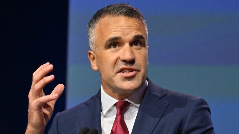 South Australia’s popular Labor Premier Peter Malinauskas has likened the idea of cutting immigration to stop One Nation as ‘appeasement’.