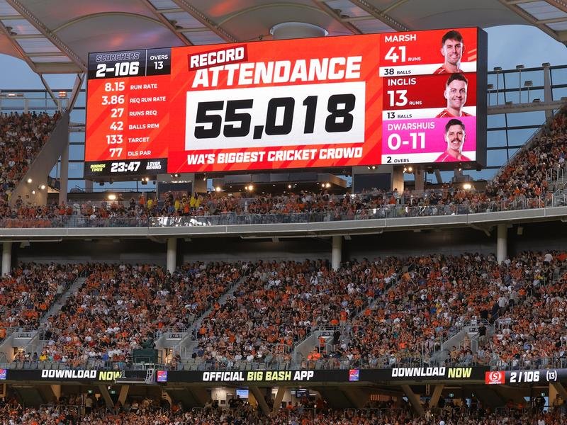 The Scorchers have been arguably the BBL’s biggest success story.