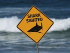 A new drone fleet will help but experts say there is no shark-proofing Australia. 