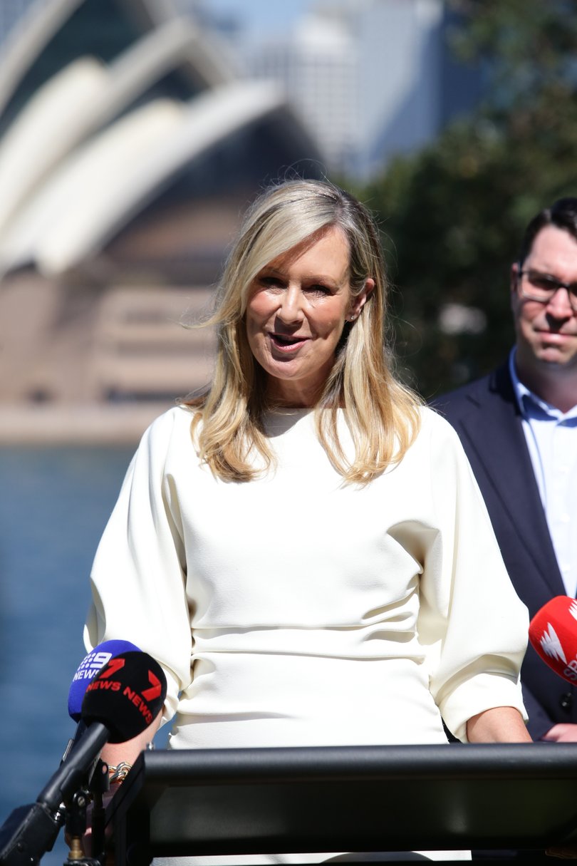 Melissa Doyle addresses the press from Admiralty House in Kirribilli.