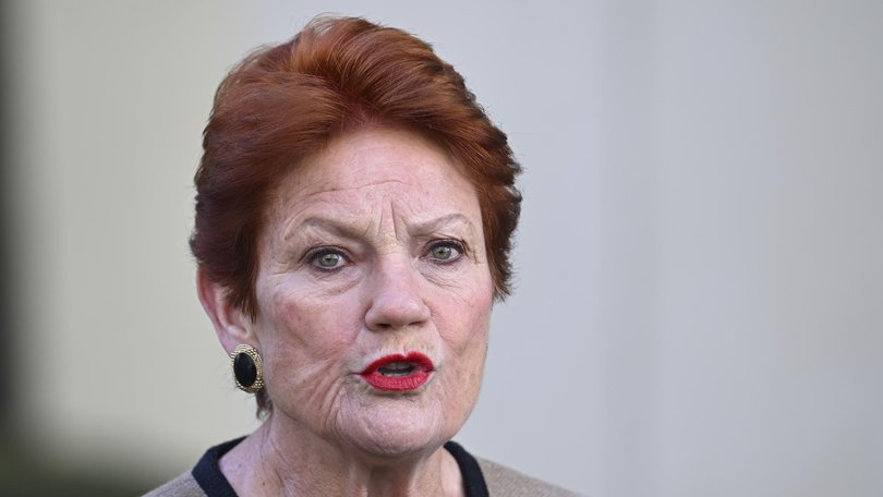 Pauline Hanson is vowing to ‘reset Australia’s immigration system’ by slashing the number of temporary visa holders and unlawful non-citizens by more than 750,000 over three years.