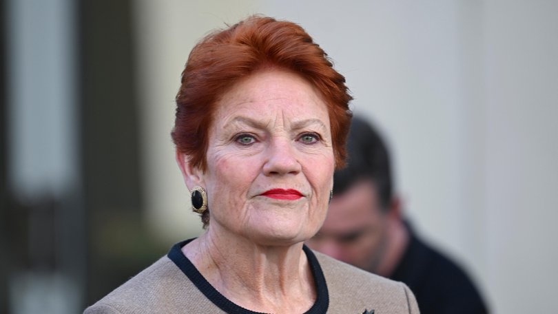 Pauline Hanson is vowing to ‘reset Australia’s immigration system’ by slashing the number of temporary visa holders and unlawful non-citizens by more than 750,000 over three years.
