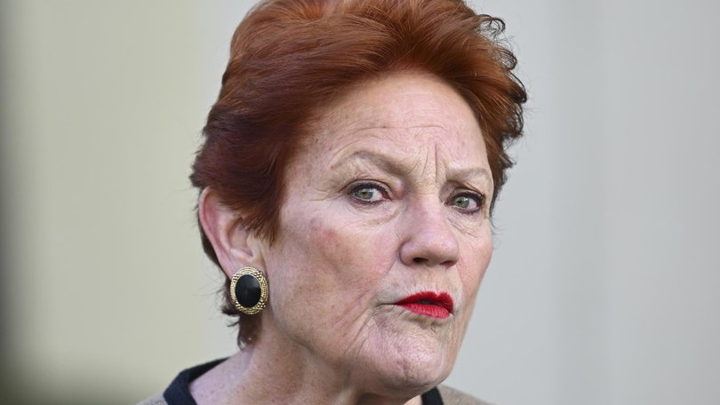 Pauline Hanson’s plan to slash Australia’s temporary migration population by more than 750,000 over three years has come under fierce attack from Labor, the Coalition and business leaders.