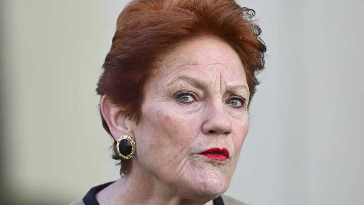 One Nation’s plan to slash immigration by 750k over three years draws criticism from Labor, Liberals, business