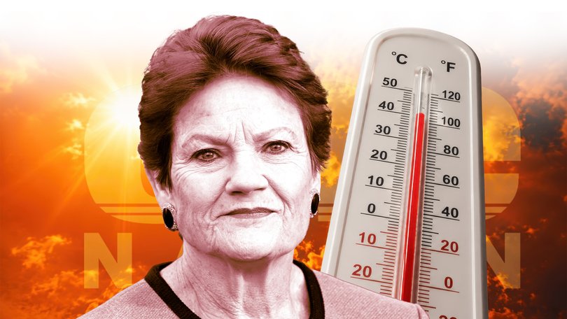 Pauline Hanson could turn up the temperature on climate costs.