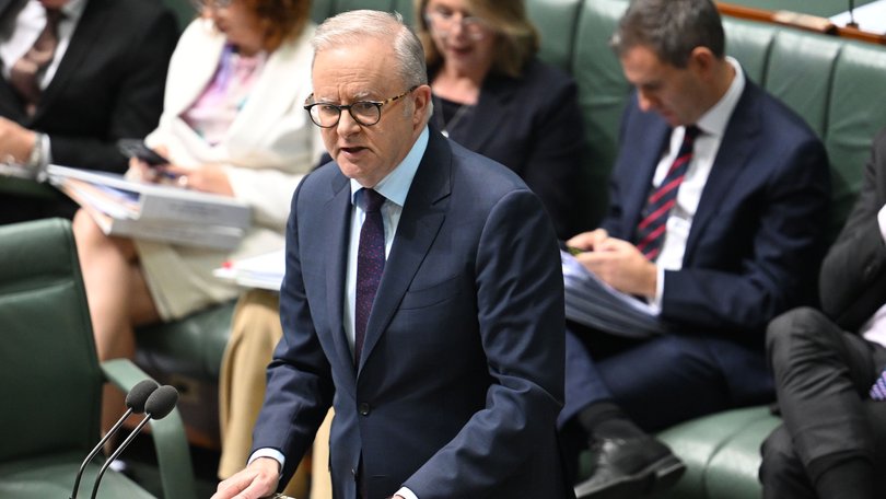 Anthony Albanese during Question Time