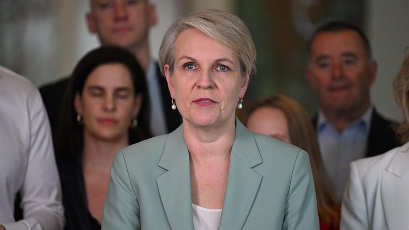 Social Services Minister Tanya Plibersek has rejected the comments. Picture: NewsWire / Martin Ollman
