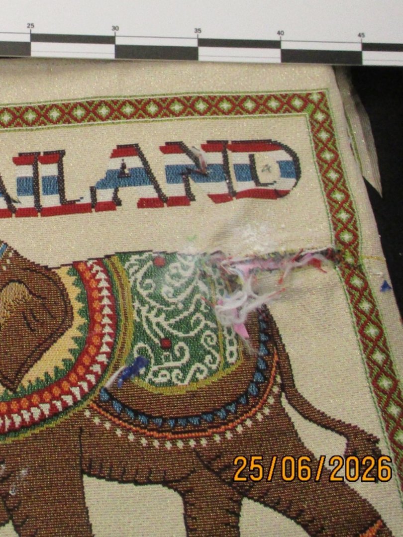 Anomalies were allegedly discovered when her luggage was X-rayed. Picture: NewsWire Handout