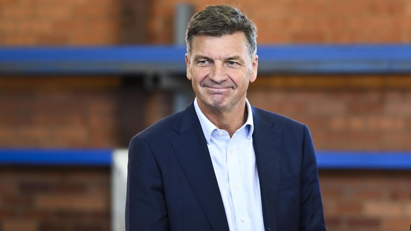 Opposition Leader Angus Taylor on Monday said the government ‘had a role to play’. Picture: NewsWire / Martin Ollman