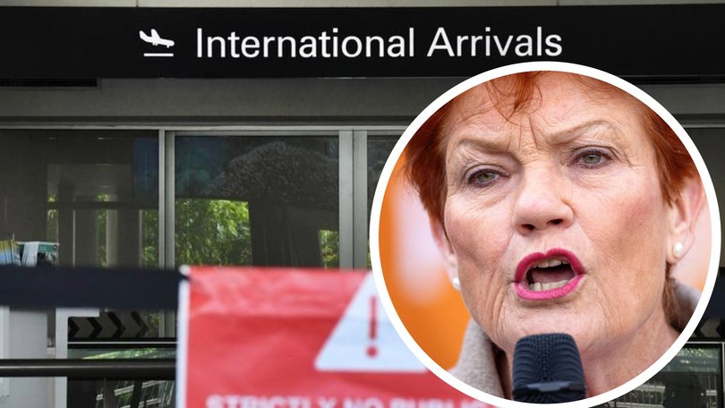 Pauline Hanson has committed to slashing Australia's immigration system.