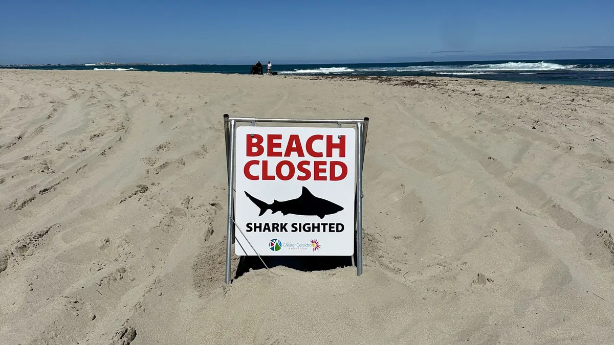 Horror scenes as man attacked by shark