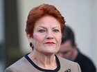 As Labor prepares to announce sweeping migration reforms of its own, Pauline Hanson pipped the government with a plan to reduce the number of temporary visa holders and overstayers by more than 750,000 over three years.
