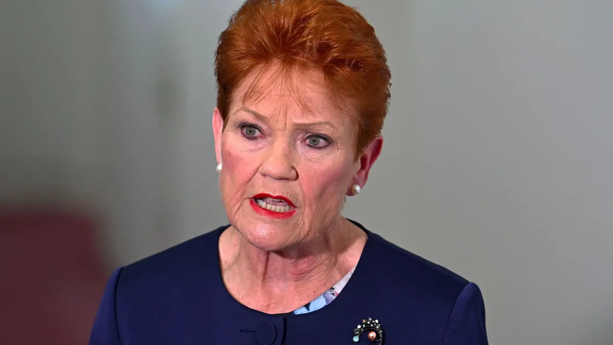 Pauline Hanson gives partial apology to Indigenous Aussies