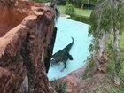 A crocodile in the Perth Zoo enclsoure.