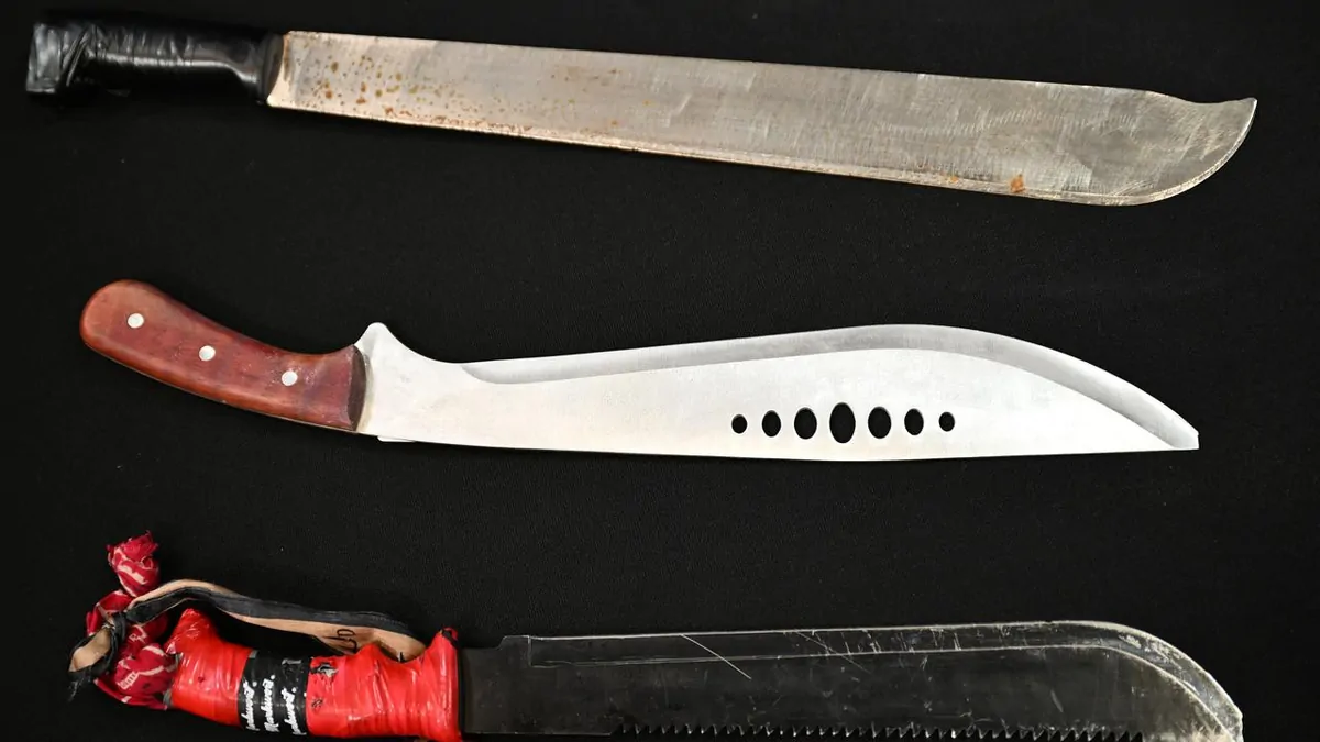 'Copycat' knife-search powers to spread after Victorian election as experts warn against relying on Jack’s Law