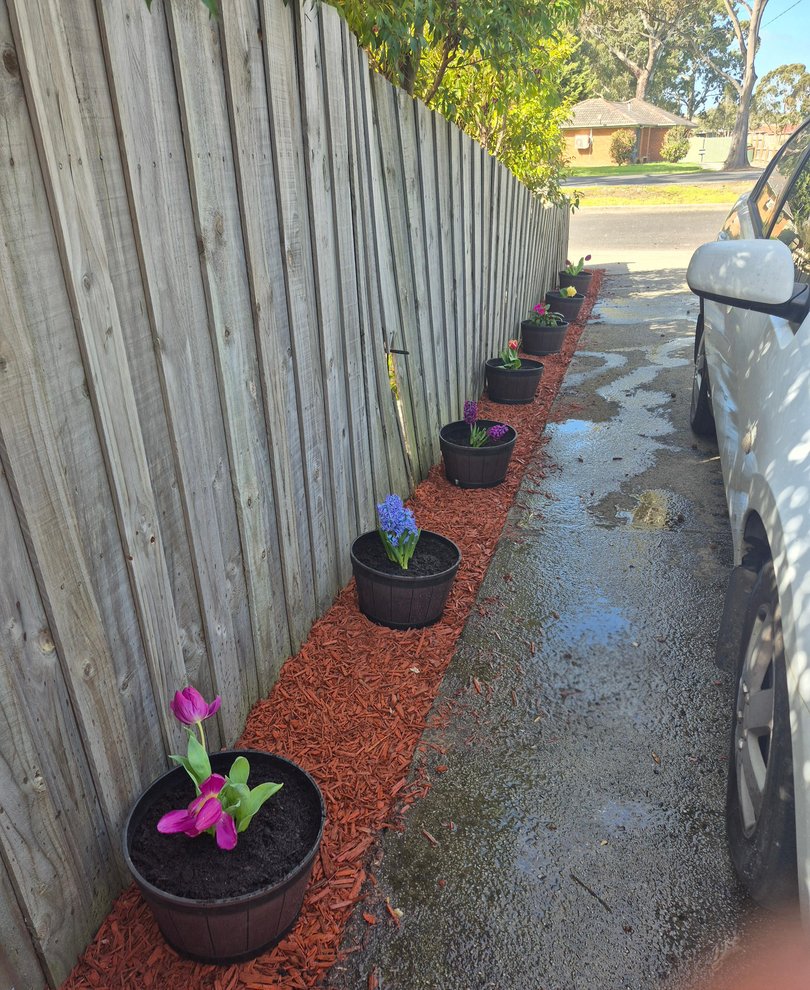 Harry’s seven newly planted flower pots lined the driveway of his Traralgon home before one was stolen.