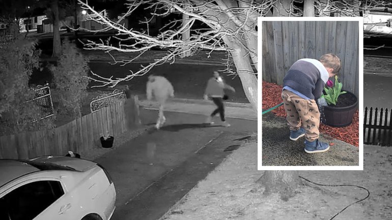 A three-year-old boy’s day spent proudly choosing and planting flowers with his mum has ended in heartbreak after a brazen thief walked into the family’s front yard and stole his favourite pot just hours later.