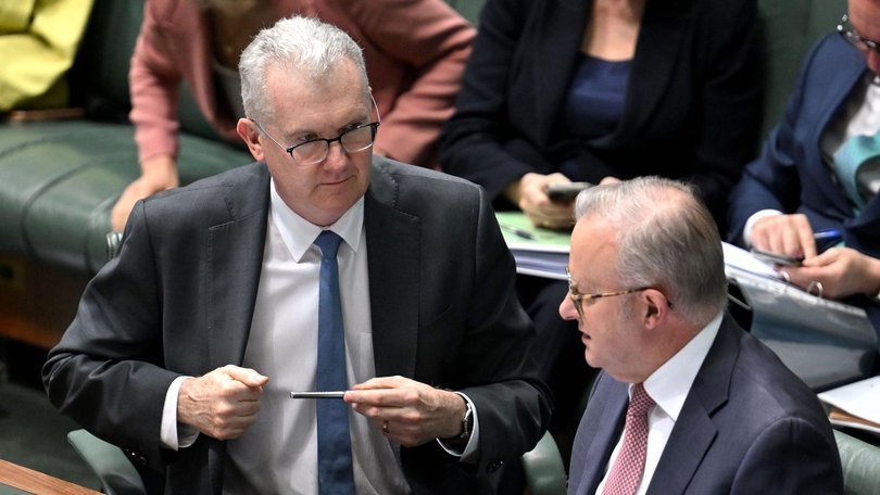 Home Affairs Minister Tony Burke and Prime Minister Anthony Albanese.