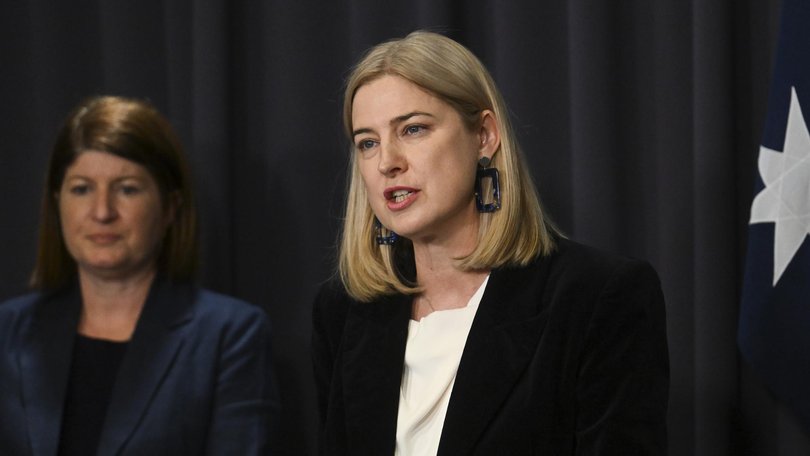 Agriculture Minister Julie Collins said the government was taking bird flu seriously. Picture: NewsWire / Martin Ollman.