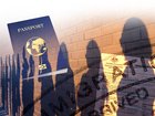The ABS has released the latest immigration figures.