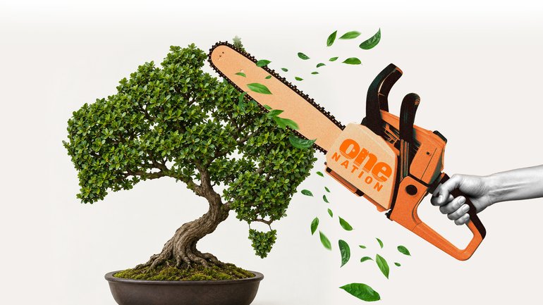 One Nation’s policy is like using a chainsaw to prune a bonsai.