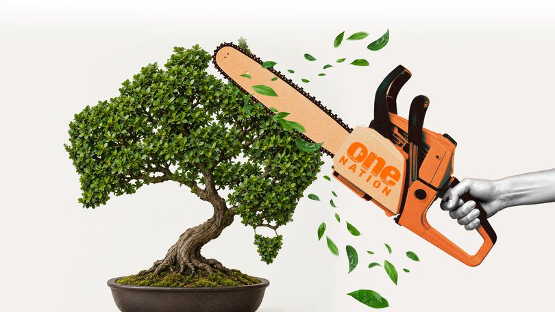 One Nation’s policy is like using a chainsaw to prune a bonsai.