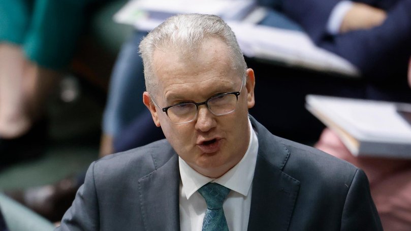 Home Affairs Minister Tony Burke has finally released details of Labor’s new migration policies.