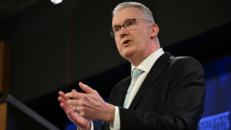 Home Affairs Minister Tony Burke has finally released details of Labor’s new migration policies.