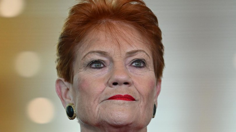 Protesters said they were concerned Pauline Hanson could become prime minister, Canberra. Picture: NewsWire / Martin Ollman