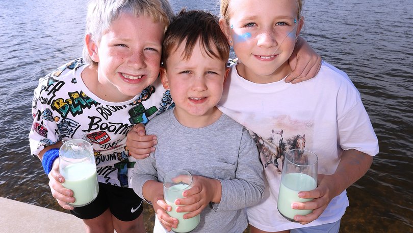 Masters Spearmint milk is unique to WA foods. Pictured enjoying a glass are Harvey Elliot, 8, Calvin McCall, 4, and Felicity Elliot, 10.