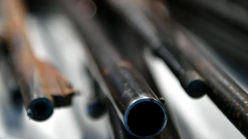 Australian gun debate heats up between Kellie Sloane, Yasmin Catley, NSW Farmers