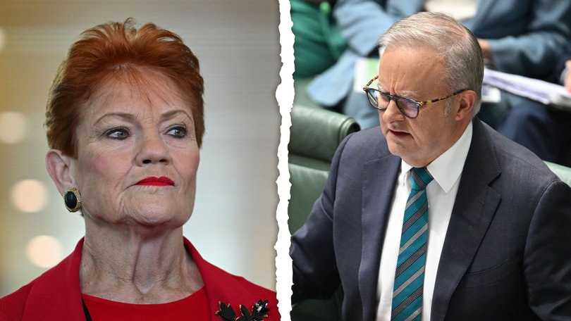 Labor’s popularity as slumped to a near-record low as minor party One Nation holds firm as the most popular party in the nation, new polling has shown.

 Pictred: Pauline Hanson and Anthony Albanese.