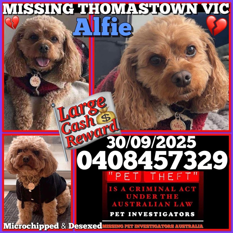 Flyers work best when trying to locate missing pets says Sherri Johnston.