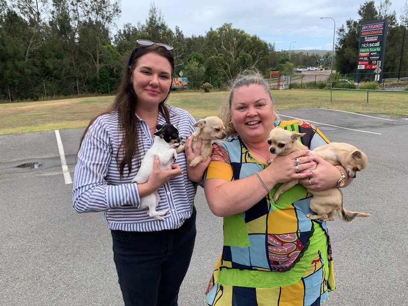 Arthur & Co Pet Detectives founder Anne-Marie Curry, left, with Suzie Meakins and dogs Mindy, Polly, Elsey and Trixie after a successful recovery.