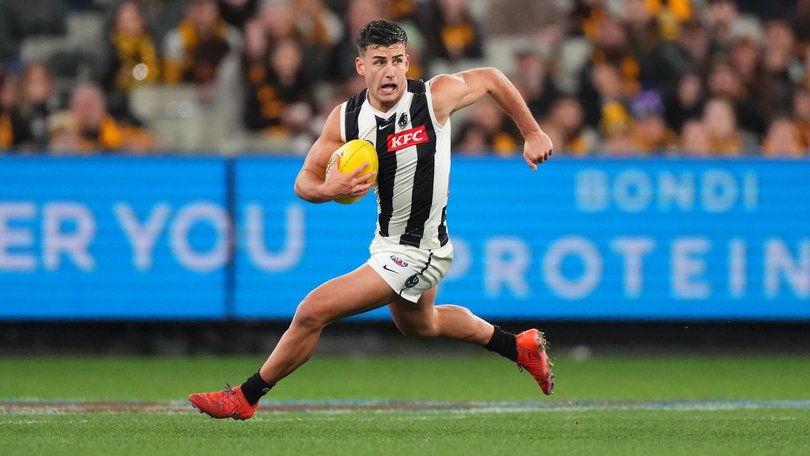 Daicos is expected to easily win the 2026 Brownlow medal.