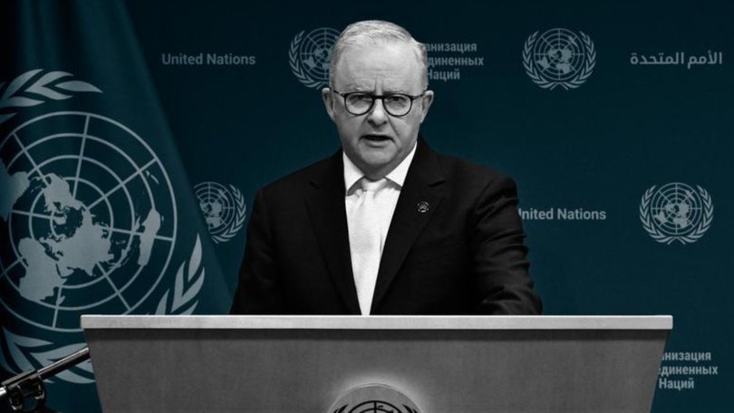 Most Australians won't be on board with Anthony Albanese's attempt to ingratiate himself with the global elite in New York.
