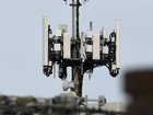 A probe has recommended Australia’s triple-0 system be nationalised. NewsWire / Andrew Henshaw