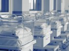 Treasury expects fertility levels to plunge to a new record low during the next 40 years.