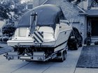 Dan Tehan fears rising diesel costs and Labor’s New Vehicle Efficiency Standard will ground boat owners.