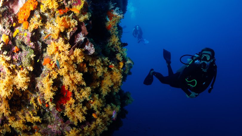 Namena Marine Reserve.