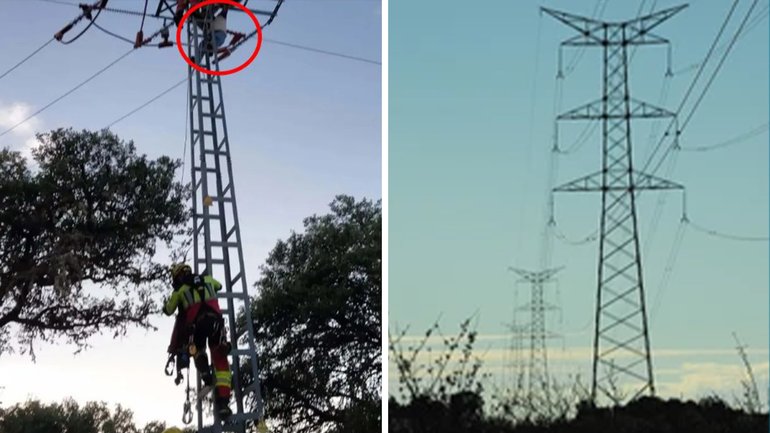 A 12-year-old girl has suffered severe burns after climbing an electricity pylon to take photos for social media.