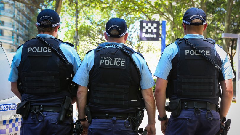 Two police officers were in the vehicle at the time of the incident.