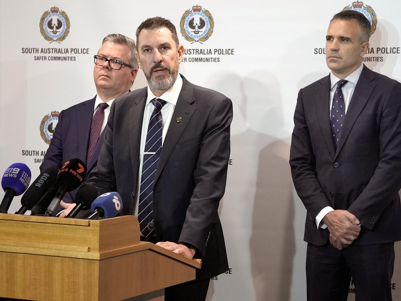 Superintendent Fielke said someone knew what happened to Gus. Picture: NewsWire / Dean Martin