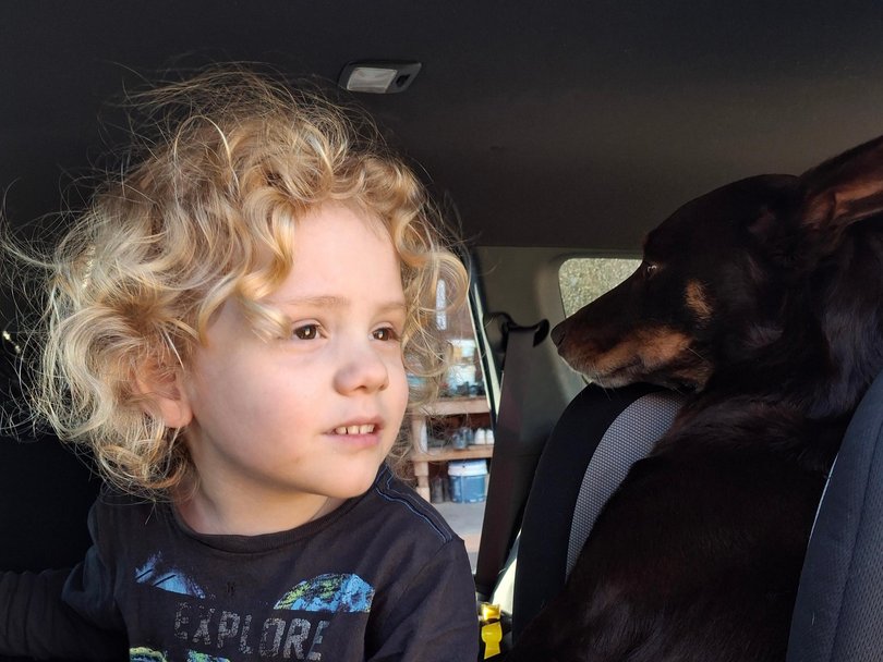 Gus had a bright future ahead of him when he vanished. Picture: Supplied