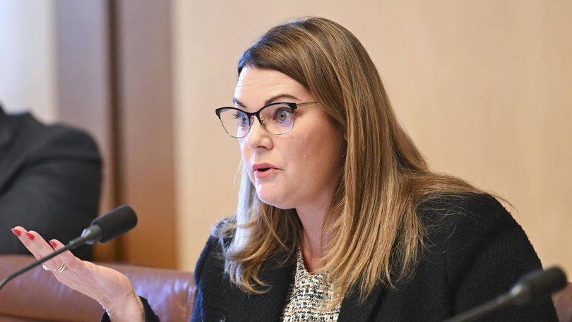 Greens senator Sarah Hanson-Young accused Labor of ‘rolling out the red carpet’ to tech companies.